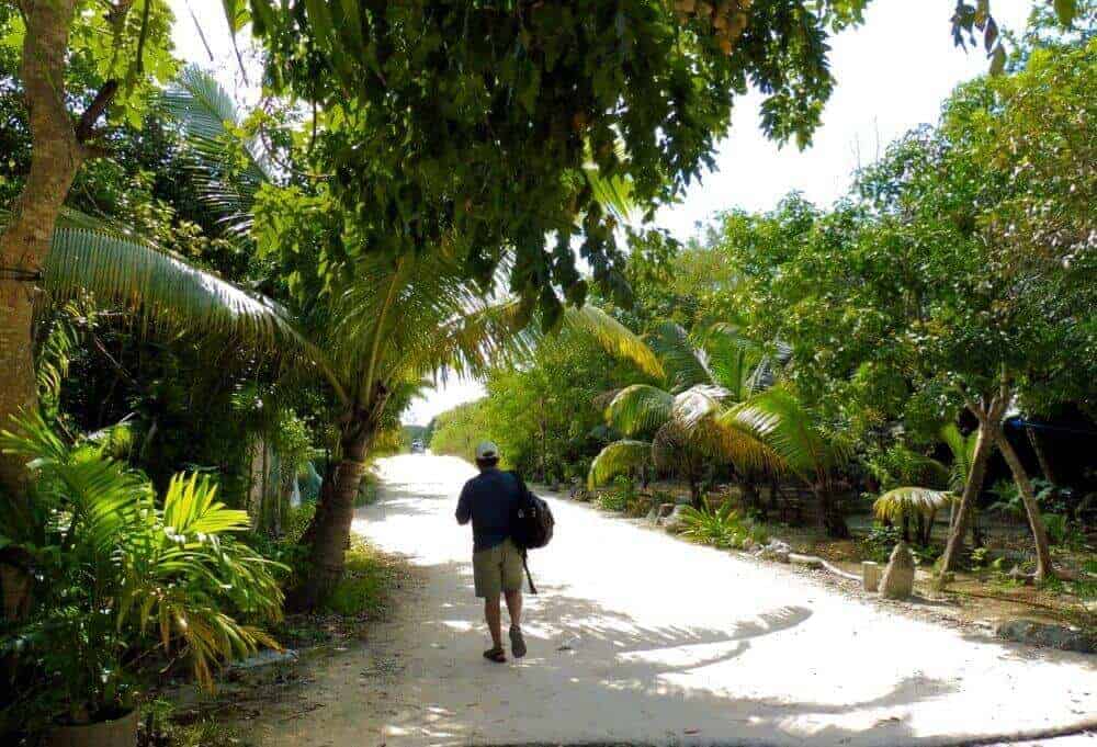 Dirt road to xpu-ha beach near Playa del Carmen, Mexico. 