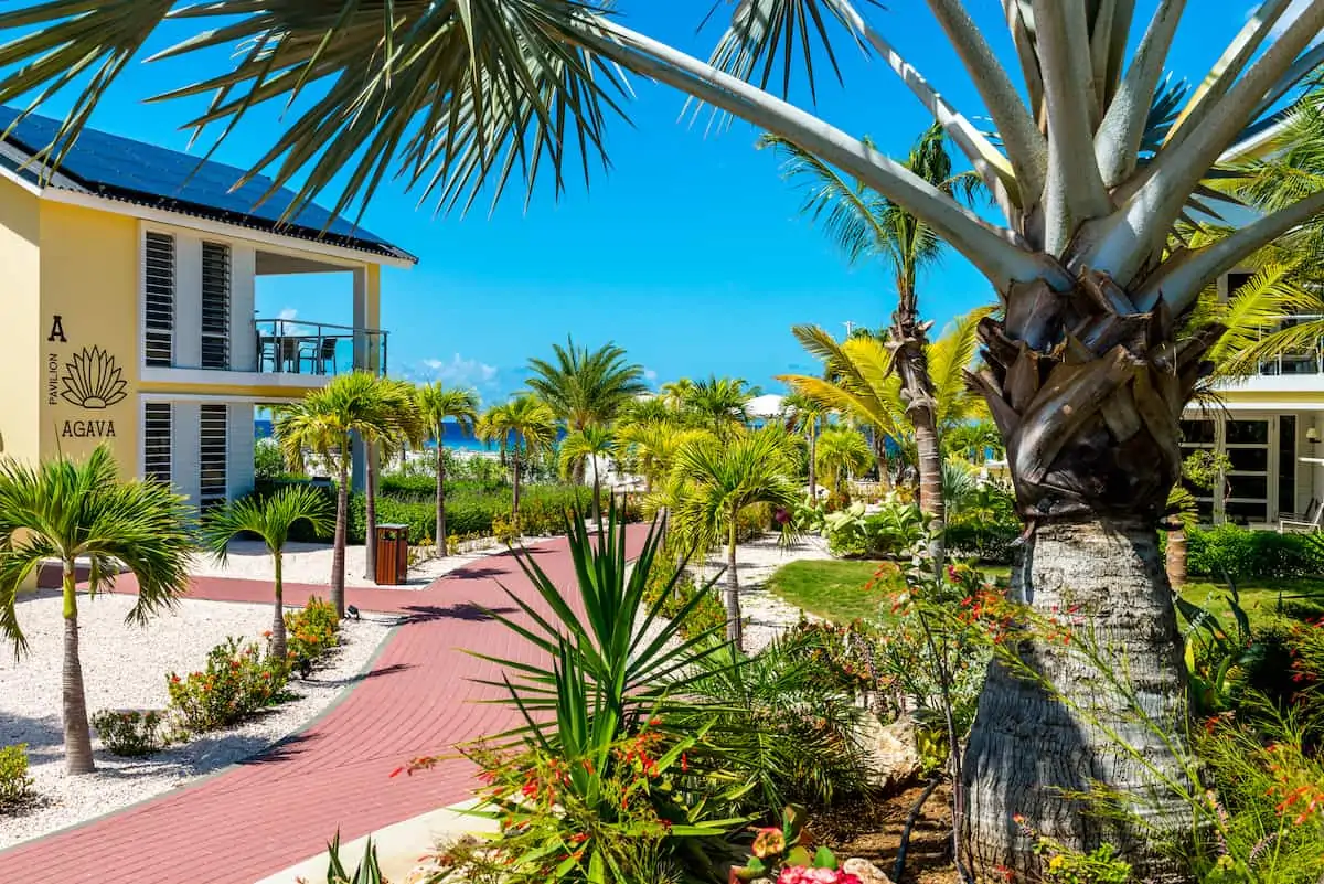 Tropical gardens at Delfins Beach Resort on Bonaire.