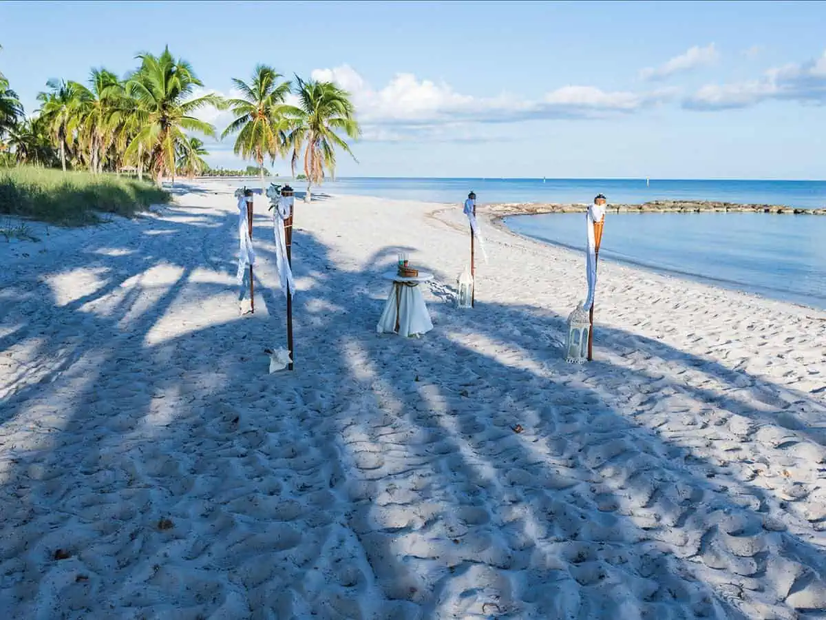 Beach with Palm Trees