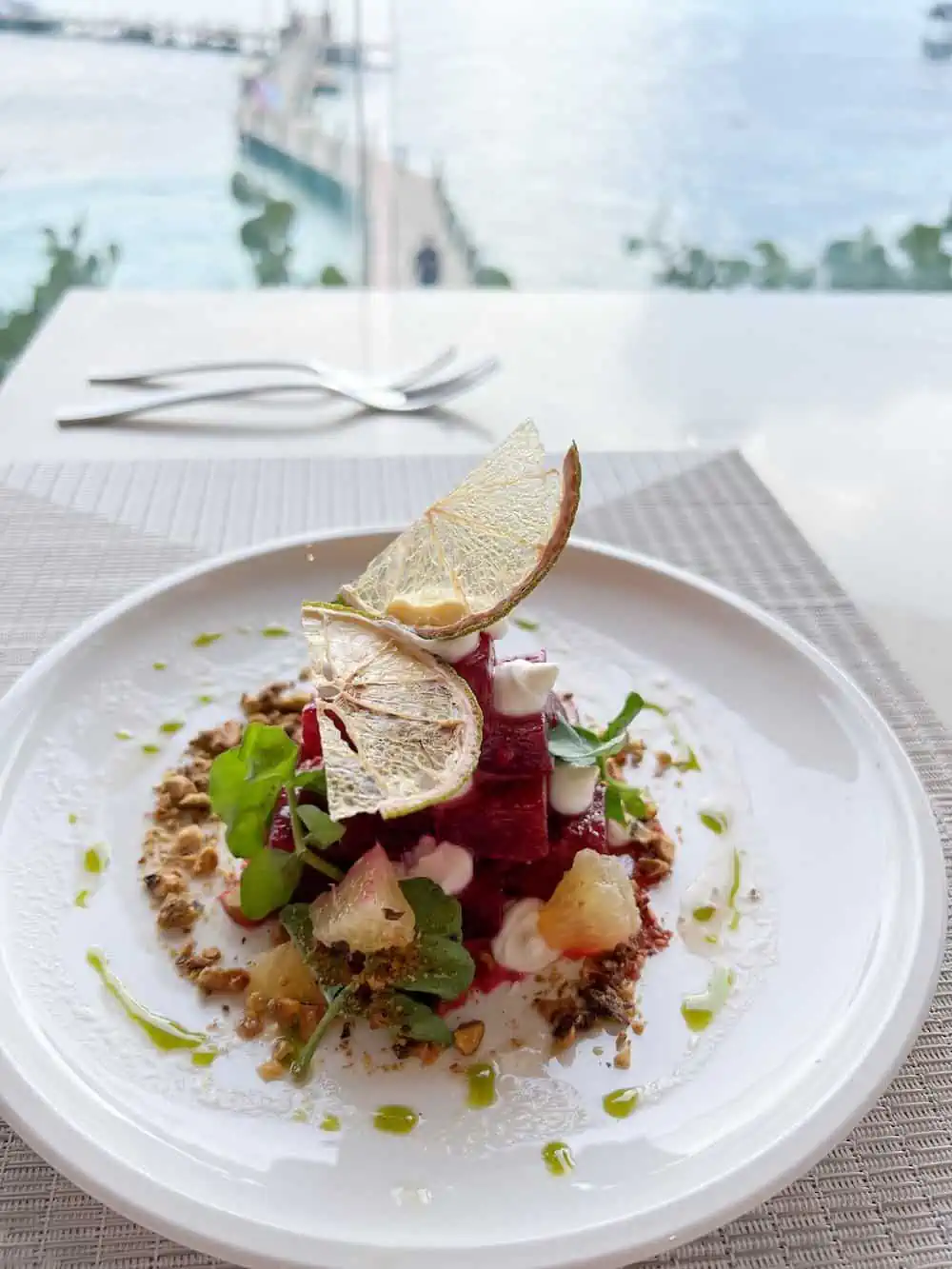 Plate of beet salad with ocean view in background. 