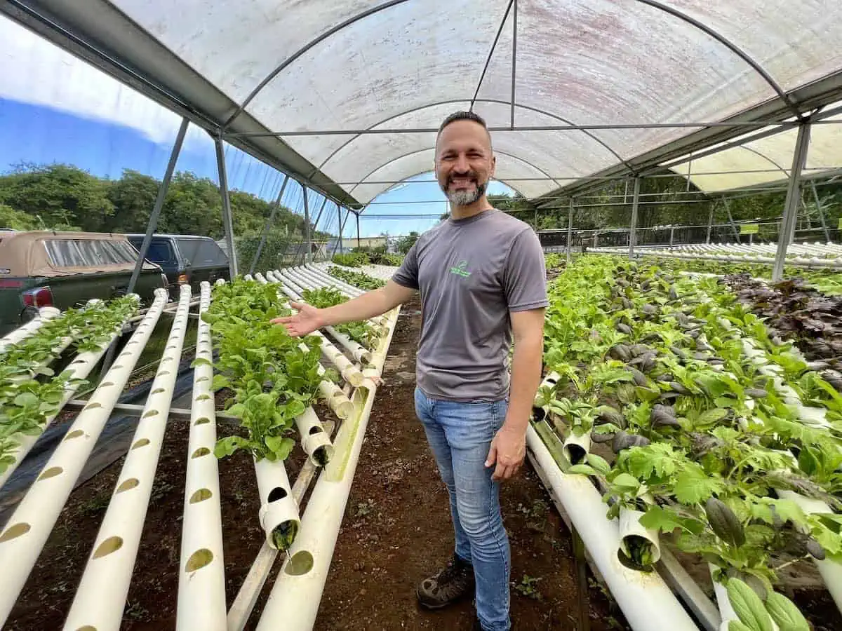 Carlos Prieto in the greenhouse at Frutos del Guacabo. 