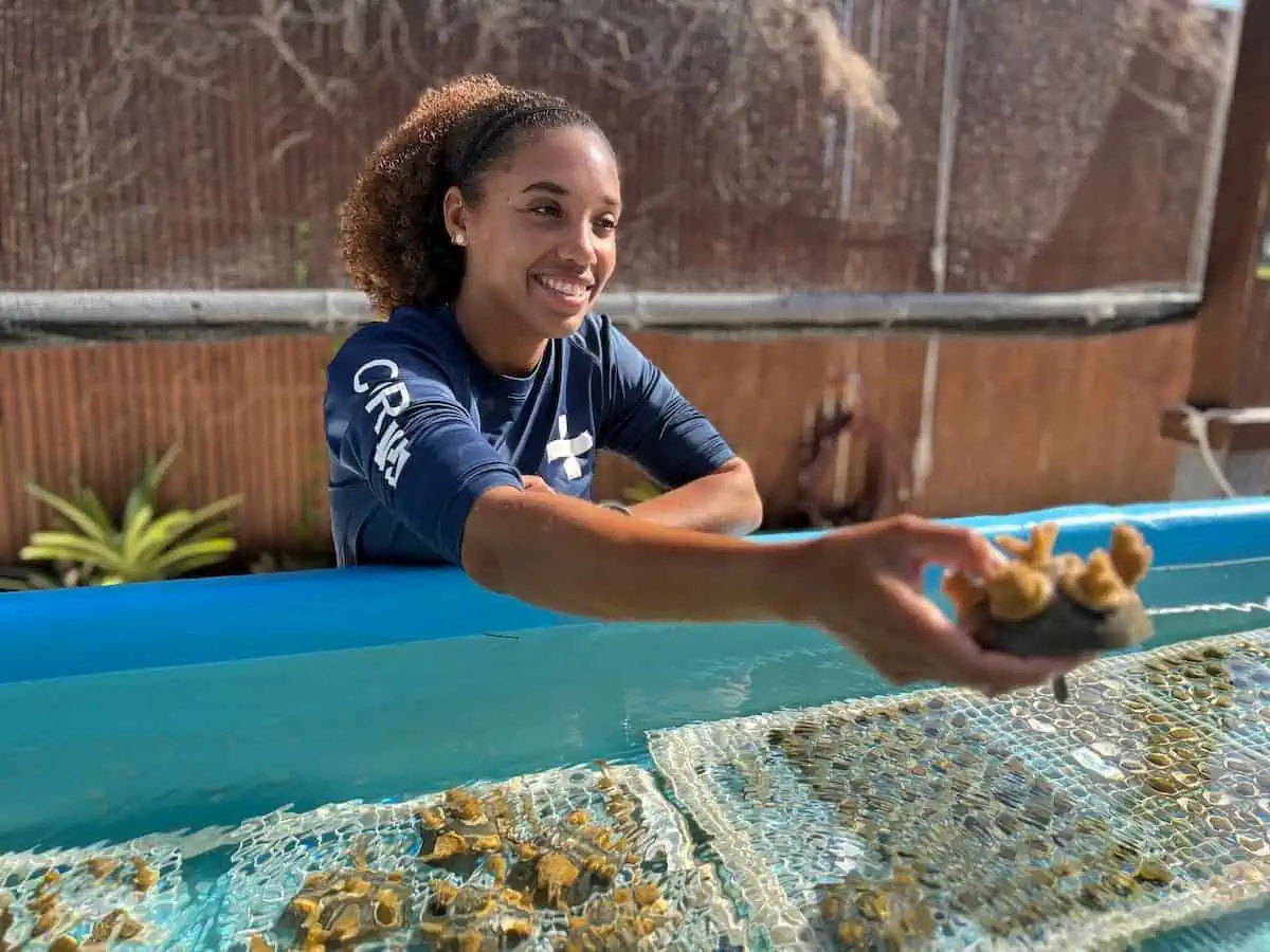 Restoration specialist holding coral in Freeport, Bahamas. 