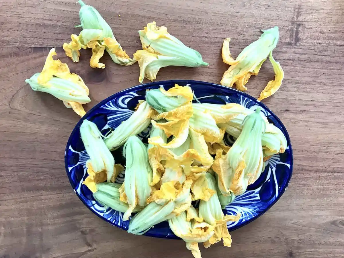 Flor de calabaza on a blue plate.