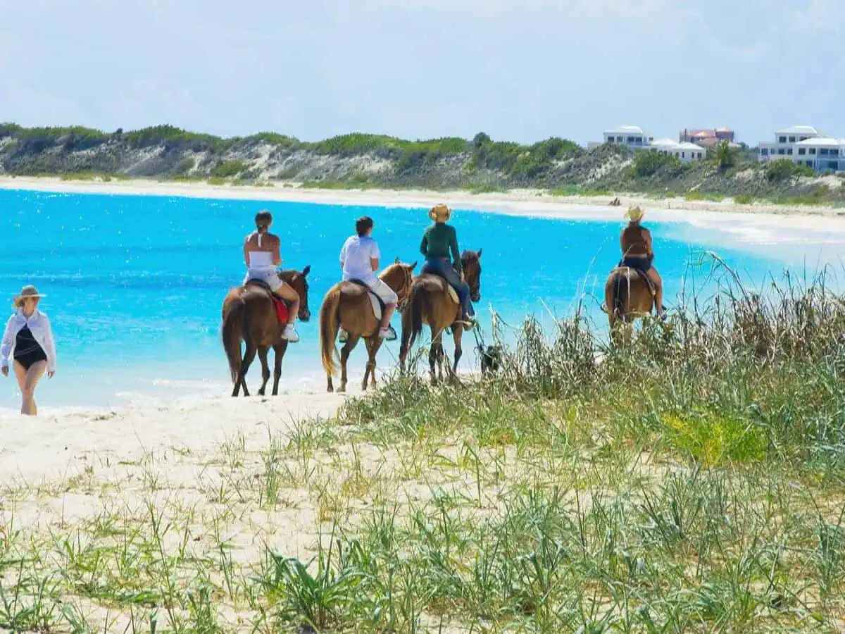 People horseback riding along the ocean. 