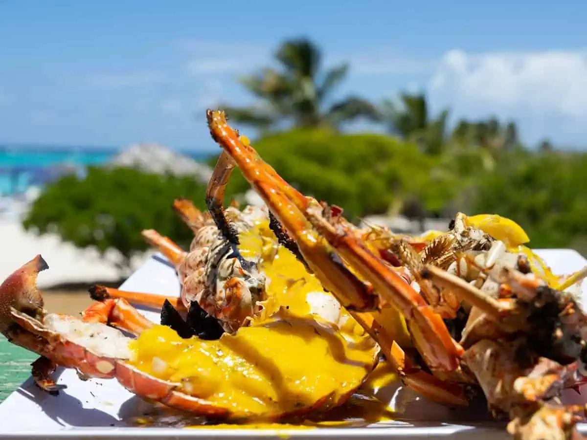 Close up of seafood.