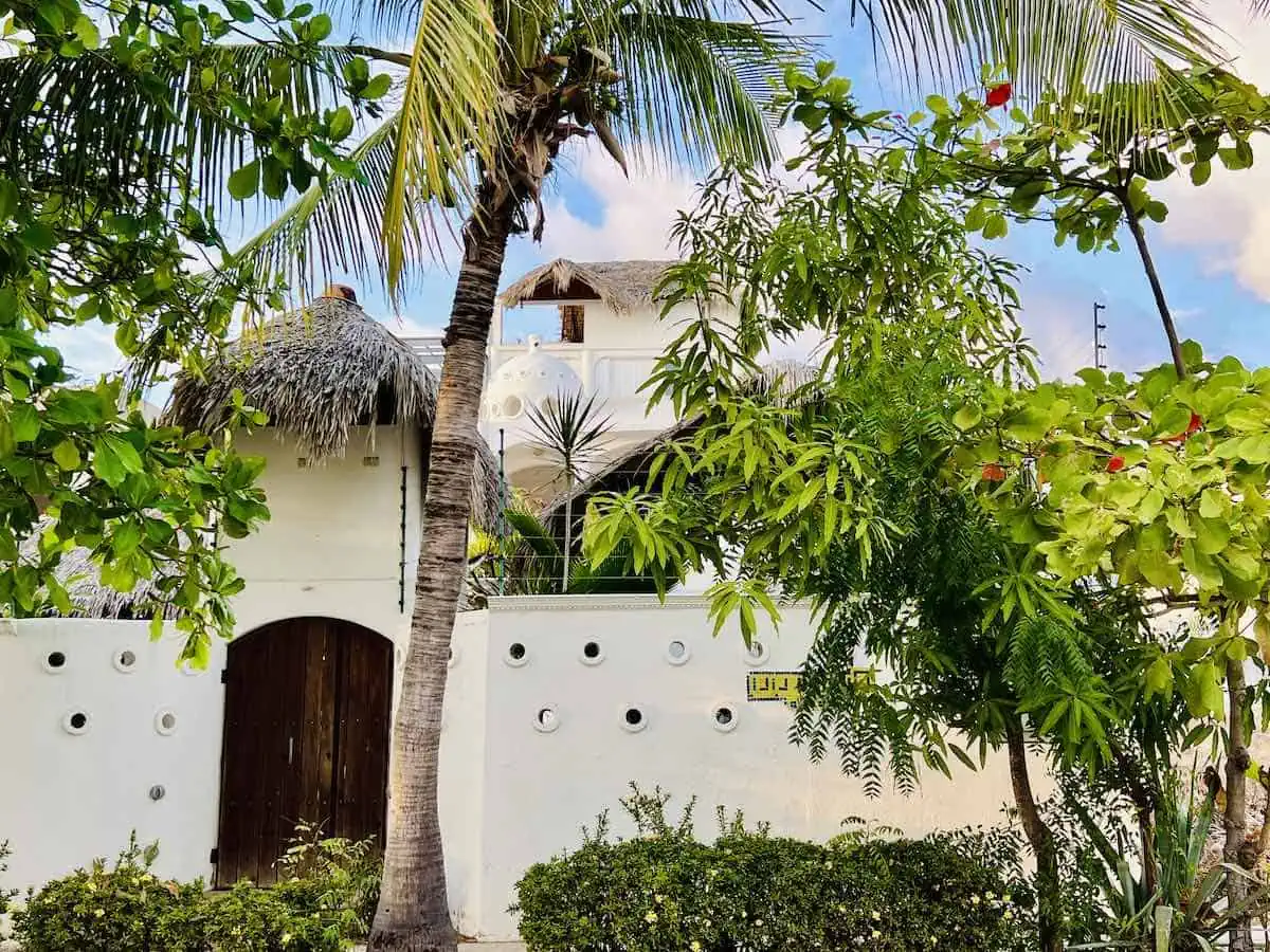 Palm trees in front of Quinta Lili Boutique Hotel in Puerto Escondido. 