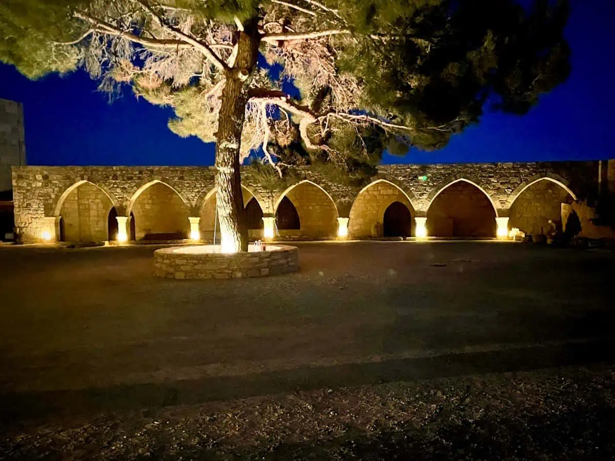 Manor at nighttime with lights and tree.