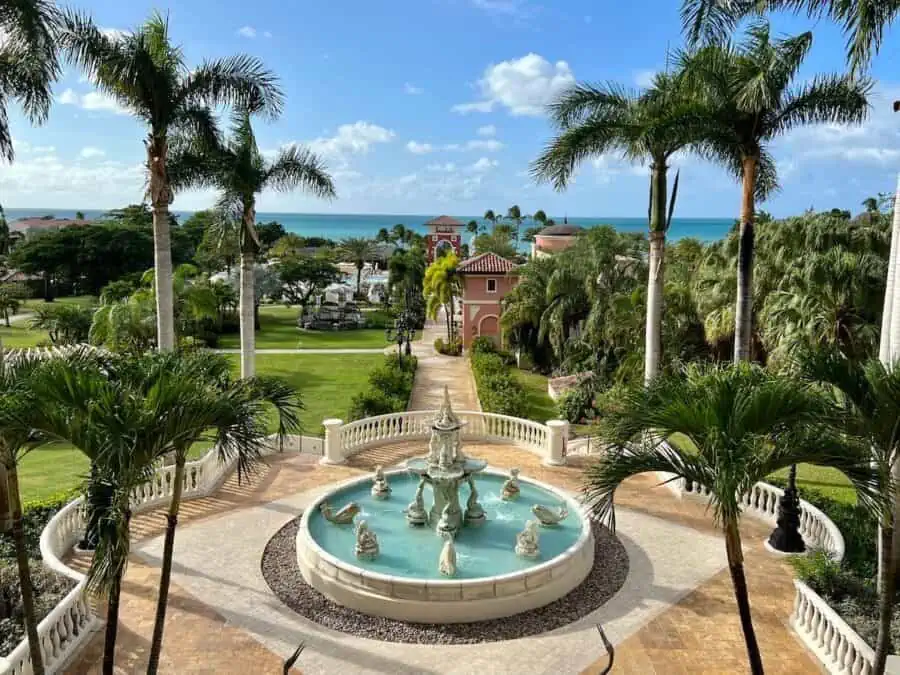 Water fountain surrounded by palm trees.