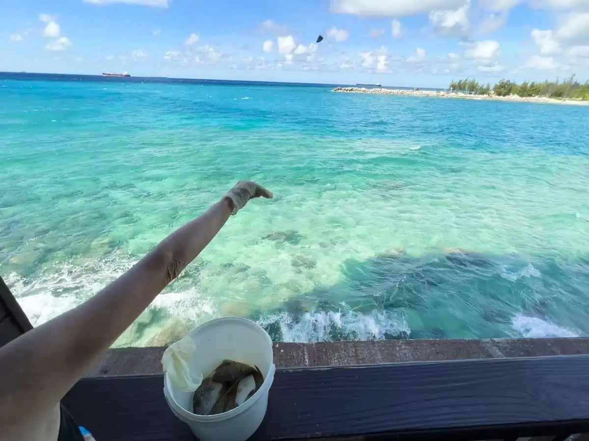 Arm throwing fish into ocean. 