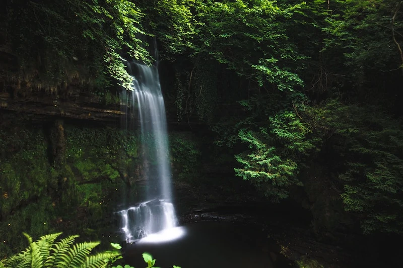 Tall waterfall in a jungle. 